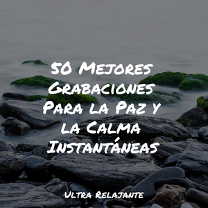 Quedarse Suavemente Dormido