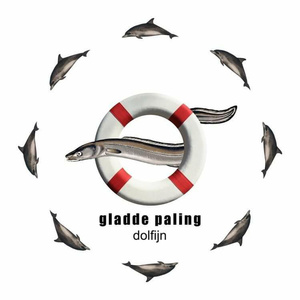 dolfijn