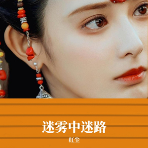 像我这样的人(Live)_红尘