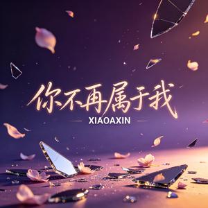 你不再属于我 (Remix)