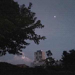 初恋女 (二胡纯音乐经典大全)