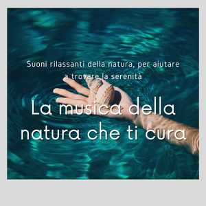 La bellezza - Musica zen