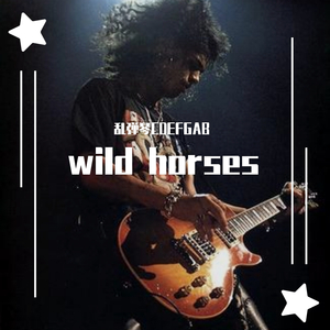 wild horses