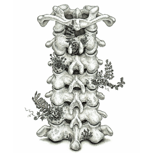 いってらっしゃい /路上小心