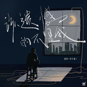 该遗憾的不是我