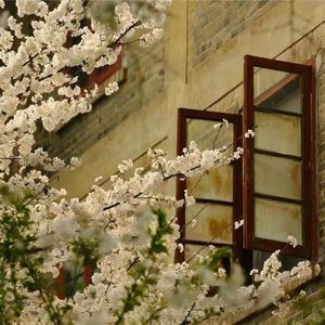 青春日记（Live）