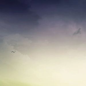 全世界都把我遗忘