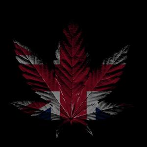 i hate windows (feat. KBP)