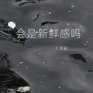 会是新鲜感吗