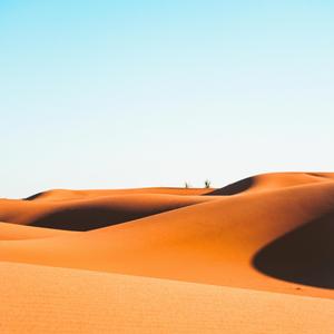 (FREE) "Shame" Chill RnB, Hip Hop, Soul, Funk, type beat