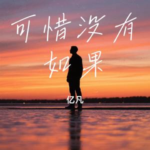 可惜没有如果