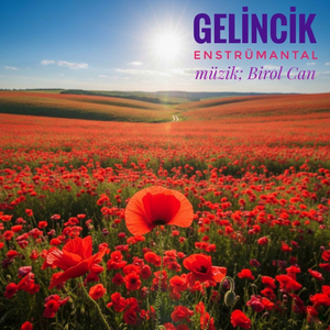 Gelincik (Gidecek Yerim Mi Var)