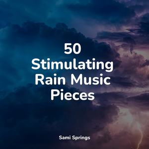 Jungle, Evening, Quiet, Birds