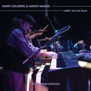 Low Down Funk (Live)