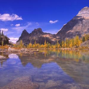 终结你的美好回忆