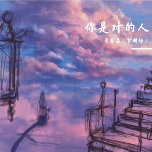 你是对的人（唯美抖音版）