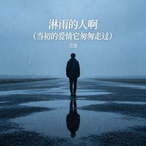淋雨的人啊（当初的爱情它匆匆走过）