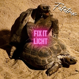 Fix It Light