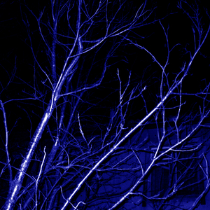 Сверхновая (Instrumental)