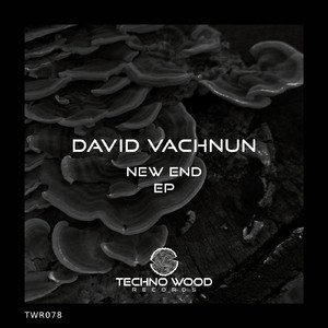 Alien Invetation (Original Mix)