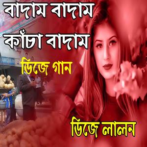 Badam Badam Kacha Badam বাদাম বাদাম কাঁচা বাদাম