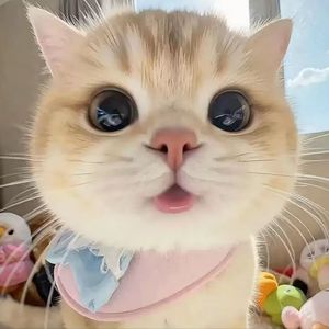 落在杯沿的阳光