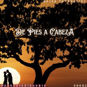 De Pies a Cabeza