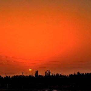 ギャル様の飼い犬（2）