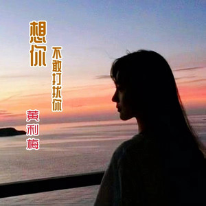 想你不敢打扰你