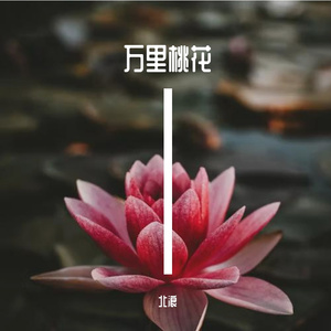 万里桃花
