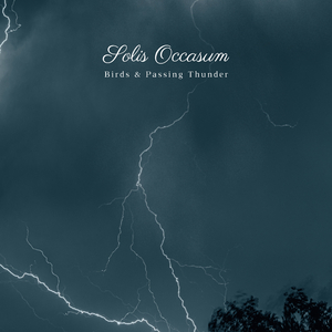Birds & Passing Thunder