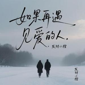 如果再遇见爱的人