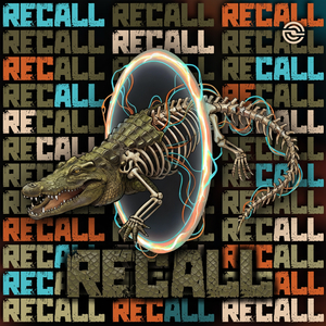 Recall