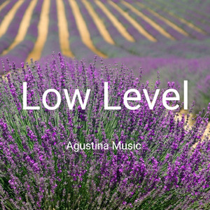 Low Level (Acoustic)