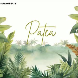 Patea