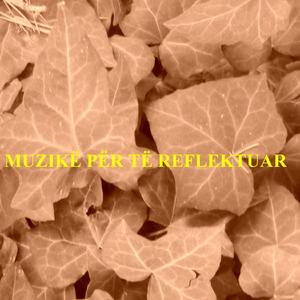 Muzikë Për Të Reflektuar