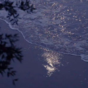 晃动-整曲 (1) (1).wav