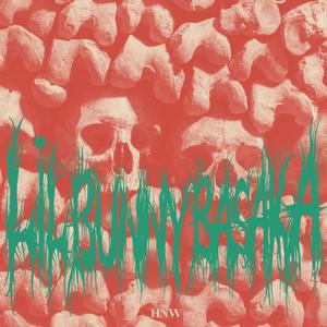 HETERONORMATIVE NOISE WALL (HNW)