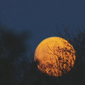 谁来剪月光（翻自 劉熙）