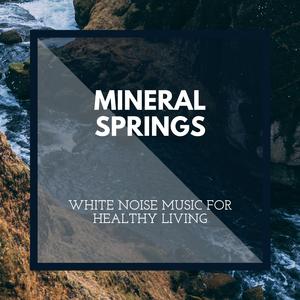 Show the Ocean Waves