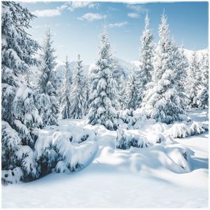 这个冬天一起看雪