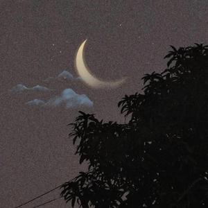 看 prod by FRESH_ye&Lion_Z