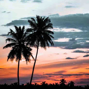 七月的海风不认输.wav