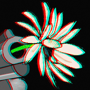 Chrysanthemum