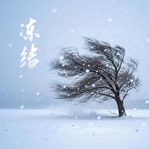 冻结 (Cover 张岳)