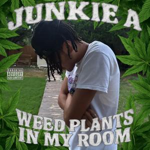 WEED PLANTS IN MY ROOM