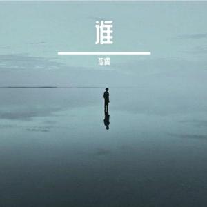 谁（翻自 王晰）