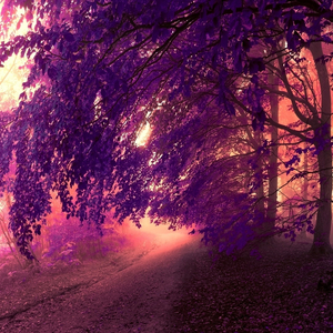 编曲练习-倦收天北芳秀钢琴古筝版（Cover 浩旭）