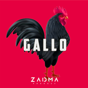 Gallo