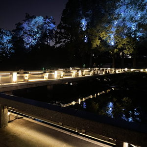 爱我中华(电子琴独奏)